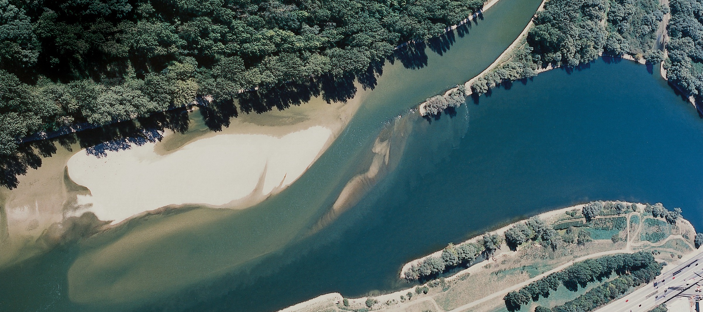 River estuary flowing into a larger river, surrounded by riverine tree and shrub vegetation