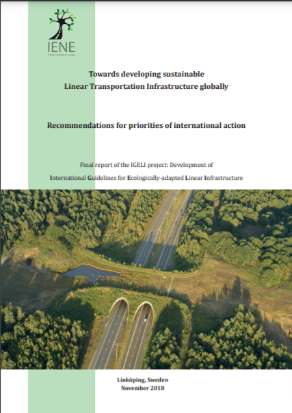 Towards developing sustainable Linear Transportation Infrastructure globally. Recommendations for priorities of international action