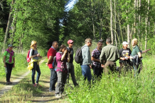 Project partners in forest near Elbe River, Dessau