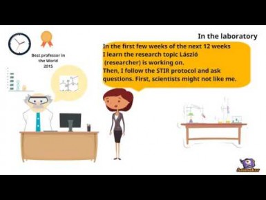 How does Socio-Technical Integration Research (STIR) work?