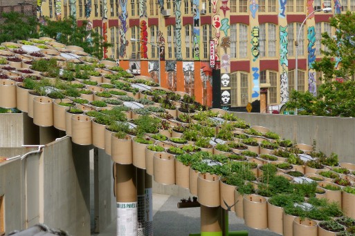 urban-farming.jpg