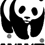 WWF Bulgaria is starting a tender