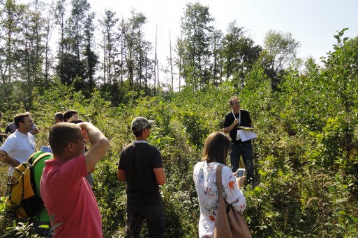 Oak regeneration site in Murska šuma_A.Kiš.JPG