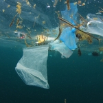 Czech Republic - Plastic bags