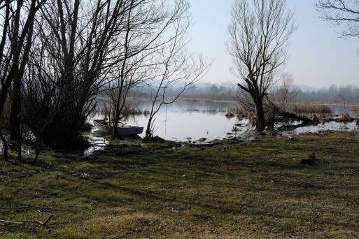 Nature_Sava River basin_Croatia (5).JPG