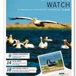 Sediment Management in the newest issue of Danube Watch
