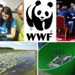 MEET THE TEAM: WWF Romania