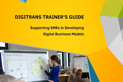 DIGITRANS Trainer's Guide - jpg.jpg