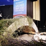 Bucharest conference: Carpathian highways to become more nature friendly
