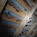 Bats - no problem to cross the Danube river