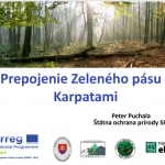 Successful  webinar about ecological connectivity in Slovakia