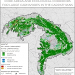 Identifying core areas and ecological corridors for large carnivores in the Carpathians