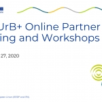 Online Partner Meeting and Workshops