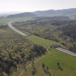 Which animals are using Slovakia's green bridges?