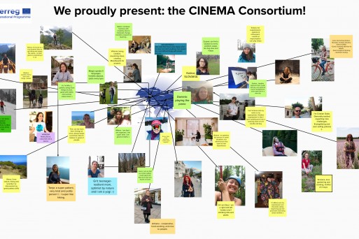 CINEMA Consortium May 2021.png