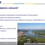 How floodplains can be restored and managed?  - 1st Danube Floodplain Webinar