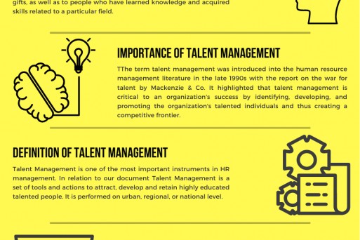 Talentmagnet definitions.png
