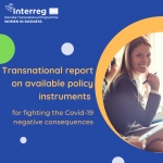 transnational report on policy response to covid-19