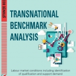 Transnational Benchmark Analysis